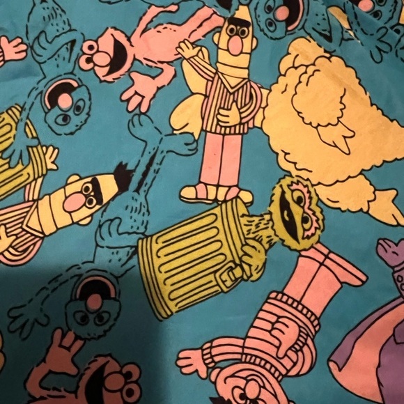 Nwt Large Sesame Street men’s pajama bottoms. Unisex. Fun AND comfortable!! - Picture 4 of 6